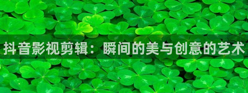四川宜宾南瓜：抖音影视剪辑：瞬间的美与创意的艺术