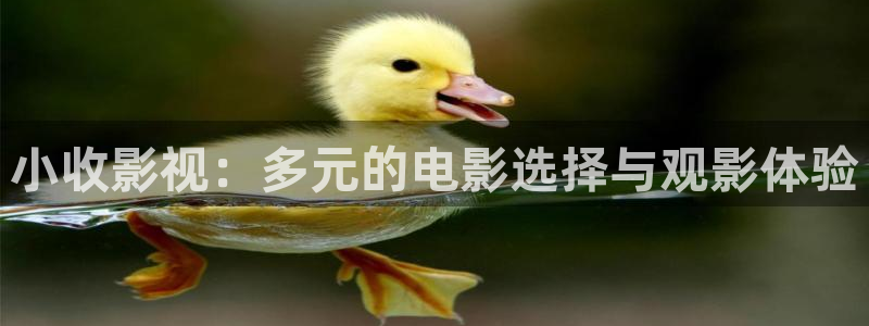 和南瓜：小收影视：多元的电影选择与观影体验