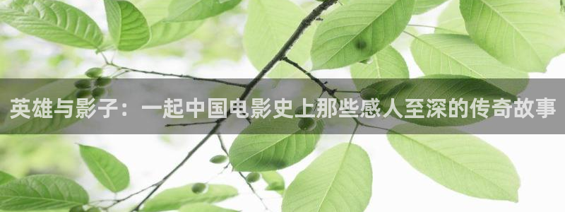 南瓜人：英雄与影子：一起中国电影史上那些感人至深的传奇故事