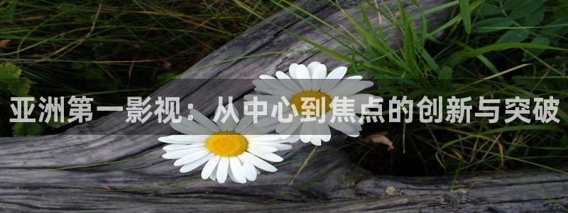 南瓜影视在线看：亚洲第一影视：从中心到焦点的创新与突破