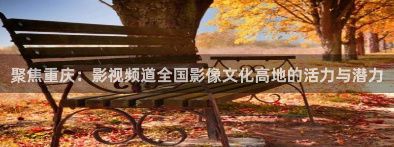 南瓜黑龙江：聚焦重庆：影视频道全国影像文化高地的活力与潜力