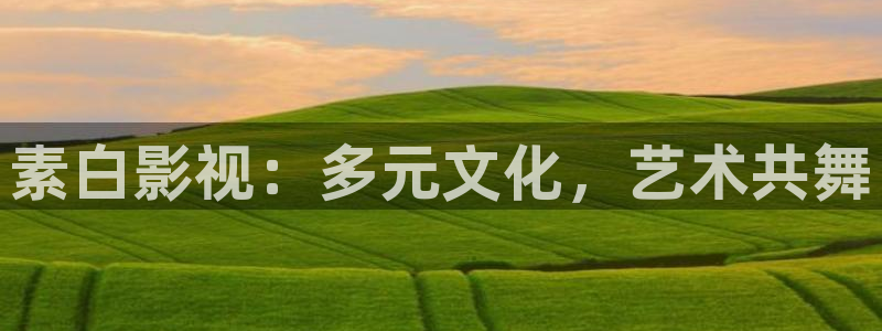 www.南瓜电影：素白影视：多元文化，艺术共舞