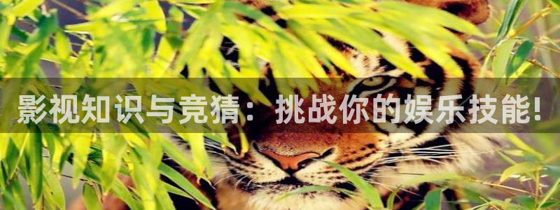 南瓜也叫北瓜吗：影视知识与竞猜：挑战你的娱乐技能!