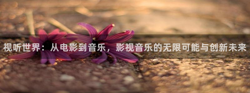 南瓜电影手机版下载：视听世界：从电影到音乐，影视音乐的无限可能与创新未来