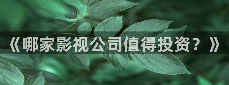 南瓜电影免费：《哪家影视公司值得投资？》